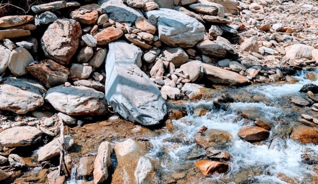Dense foliage, rolling currents of Newberry Creek the perfect place to relax.