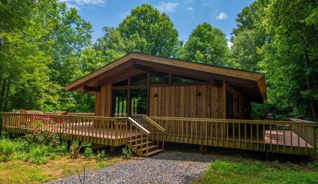 Explore on 13 Acres of Private Land | Black Dog | Bring Your Pups