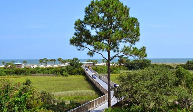 Garden View - 3 Bedroom - Marriott's SurfWatch - Full Resort Access