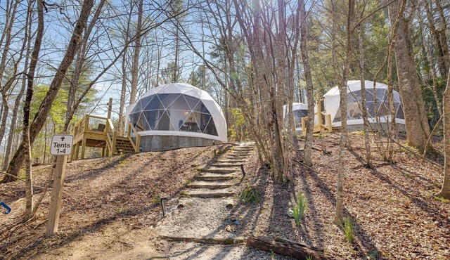 Geodesic Dome 3