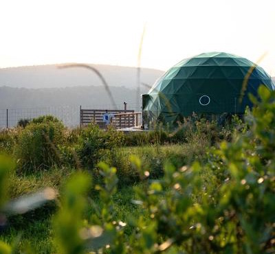 Glamping Getaway at 'The Coyote Dome' in Franklin