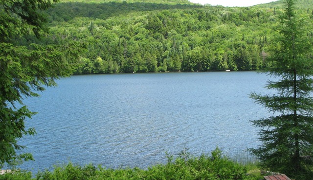 Great For Time Alone! Waterfront Cabin - Well Behaved Dogs Welcome. Go Lakeside!