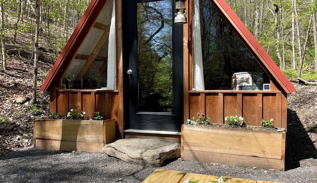 Hillside: Cozy offgrid cabin near Cooperstown, NY