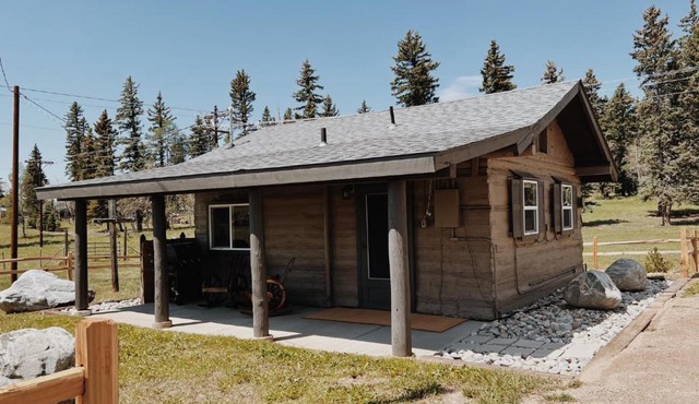 Historic cabin with unobstructed mountain view