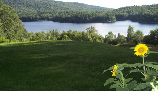 Hummingbird Hill Bed & Breakfast 1
