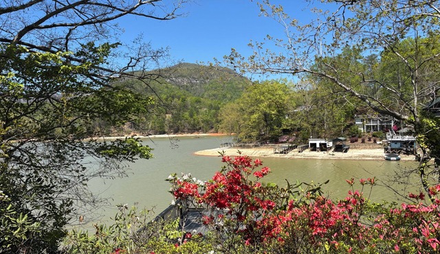 LAKEFRONT - Bring Some Love to Lake Lure
