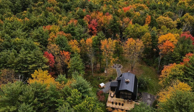 Luxury Forest Retreat: Outdoor Sauna & Plunge Tubs
