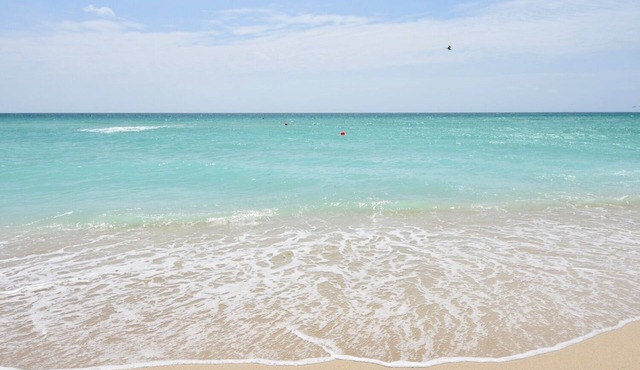 Modern Beachfront Studio w/Beach Essentials. Just steps from the beach!