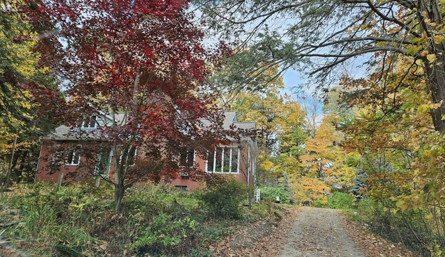 NESTLED IN THE WOODS