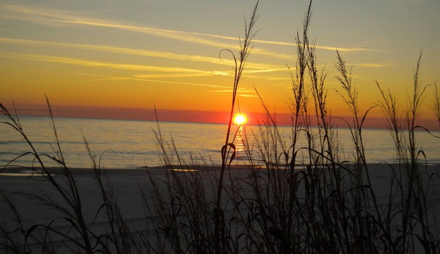 Newly Renovated with Great Location on the Gulfside.