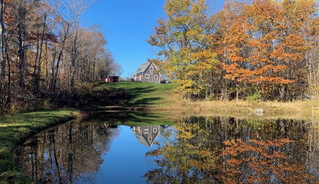 Not-so-tiny, Tranquil, Pond Front Bungalow