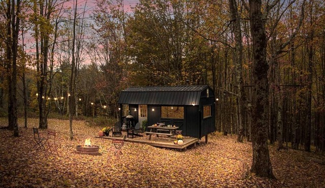Off-Grid Tiny Cabin Retreat with Fire Pit & Forest Views in Bovina, New York