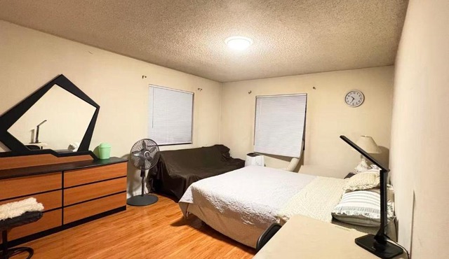 Palm Cabin