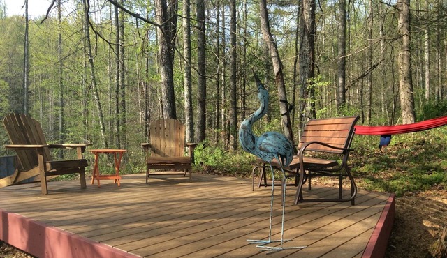 Peaceful mountain modern cottage near Mars Hill & Asheville, river view - access