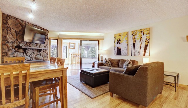 Pet-friendly Very Spacious One Bedroom Condo! BE108