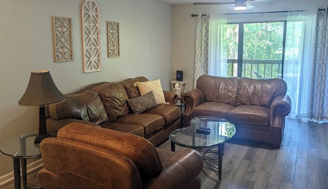 Quiet Corner Unit with Deck Overlooking the Saluda River