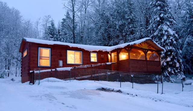 Romantic Adirondack Cabin with Gorgeous Lake and Mountain Views