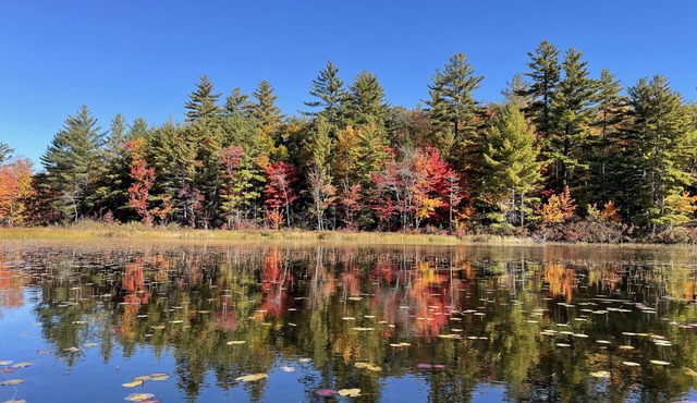 Rustic and luxurious 4 bedroom house on secluded NH lake!
