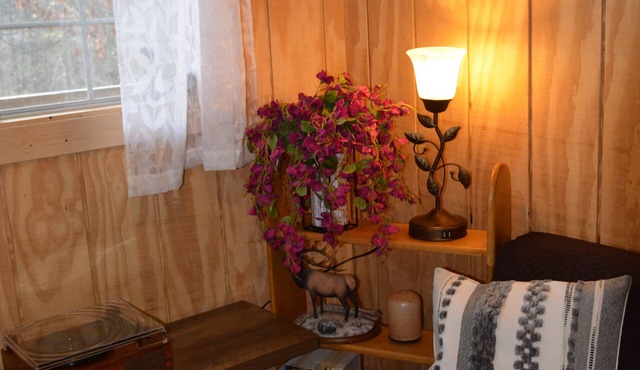 Rustic Primitive Cabin near Athens GA!