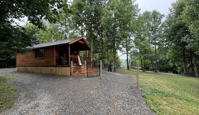 Secluded Studio Cabin with Fenced Retreat Near Blue Ridge Parkway | Meadows of Dan, Virginia