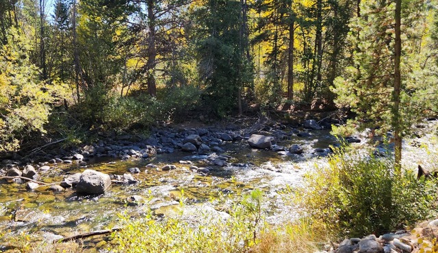 Ski, Hike, Creek and steps from main st , bus to Breck or Copper 2 blocks away.