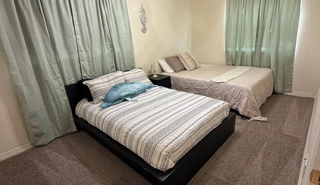 Spacious 4-bedroom house in tranquil St. Petersburg close to everything!