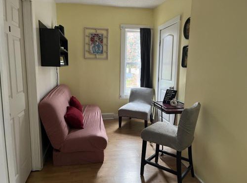 Spacious, Unique PR near Binghamton University