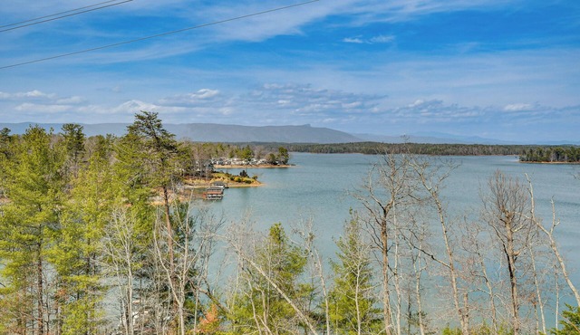 Steps to Private Beach! Family Home on Lake James