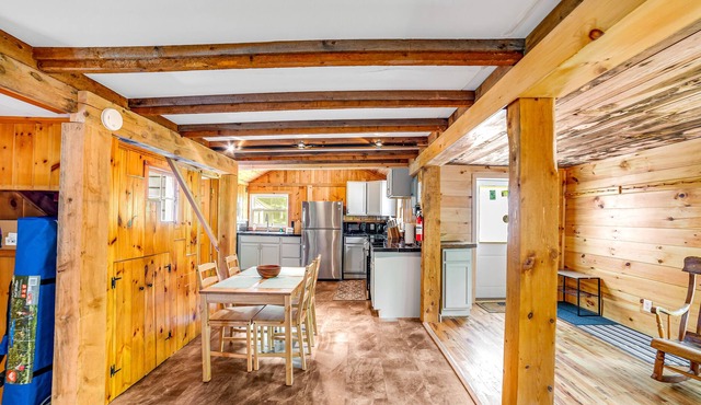Sunny dog-friendly cabin with firepit, skiing, hiking & fast WiFi