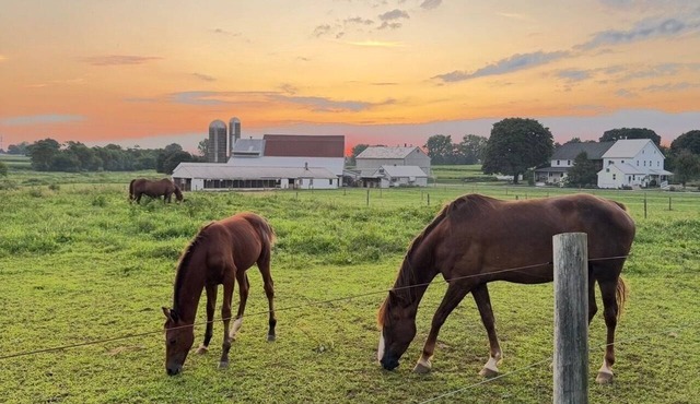 Sunset View Meadows