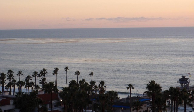Surf Shack - Panoramic Ocean View!
