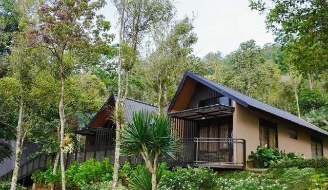 Teras Bumi Cabin