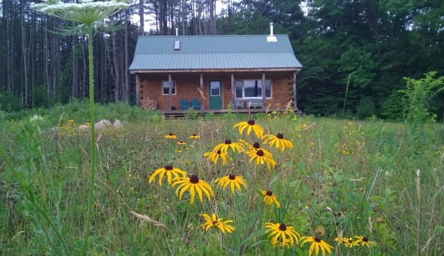 The Last Frontier Cabin