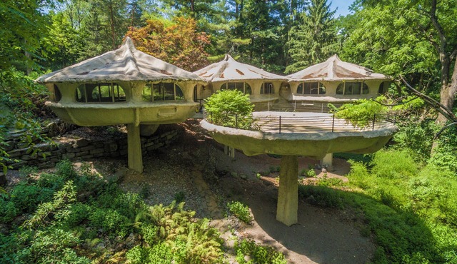 The Mushroom House