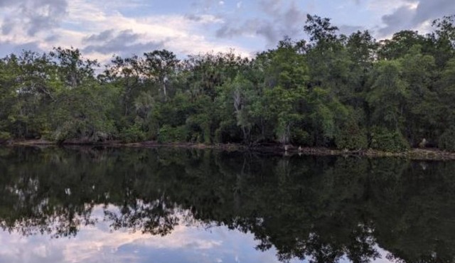 Tranquil, Riverfront 3-bedroom Tampa home near USF & Busch Gardens