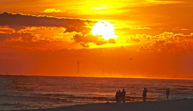 TURTLE WALK 3 BDR GULF FRONT 2026 Booking up Fast