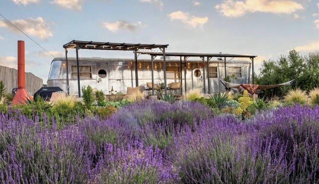Unique Boutique Airstream Spartan in a Lavender Oasis