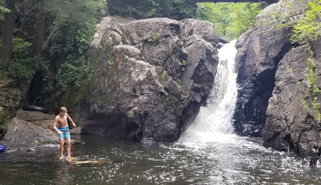Unplug at Davey Fallls! Water view, Private waterfall & large swimming area.