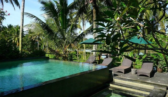 Upstairs 1BR Apartment with Shared Pool