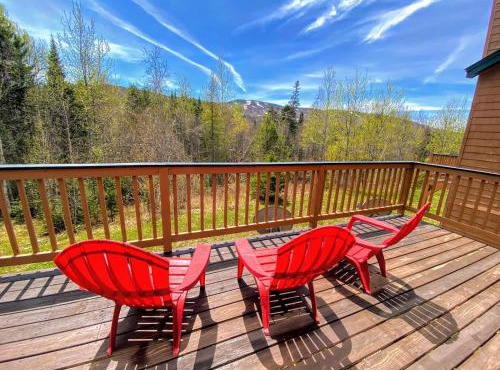 W8 Mount Washington Place Townhome great slope views fireplace large deck yard and ping pong