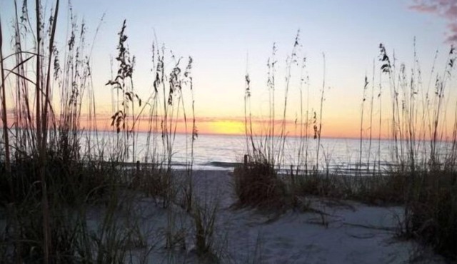 Waterfront 2BR beach & lagoon retreat. Dock, pool, dog-friendly. Incommunicado!