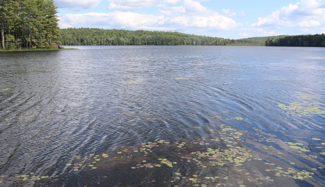 Waterfront Cottage on Scenic Sportsman Pond
