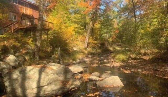 Whispering Woods Cabin - Creekside & Pet Friendly