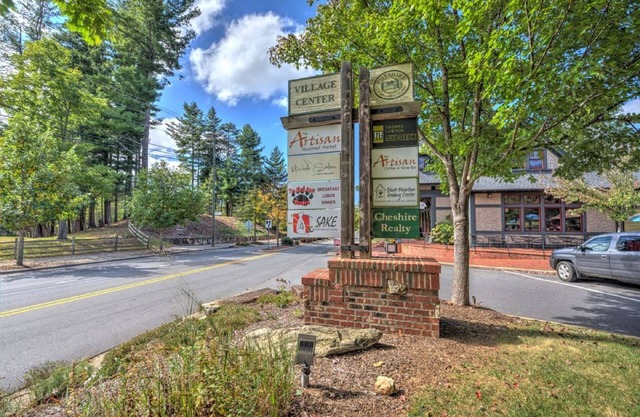 Adorable cabin in Village of Cheshire/Black Mountain. Includes Biltmore!