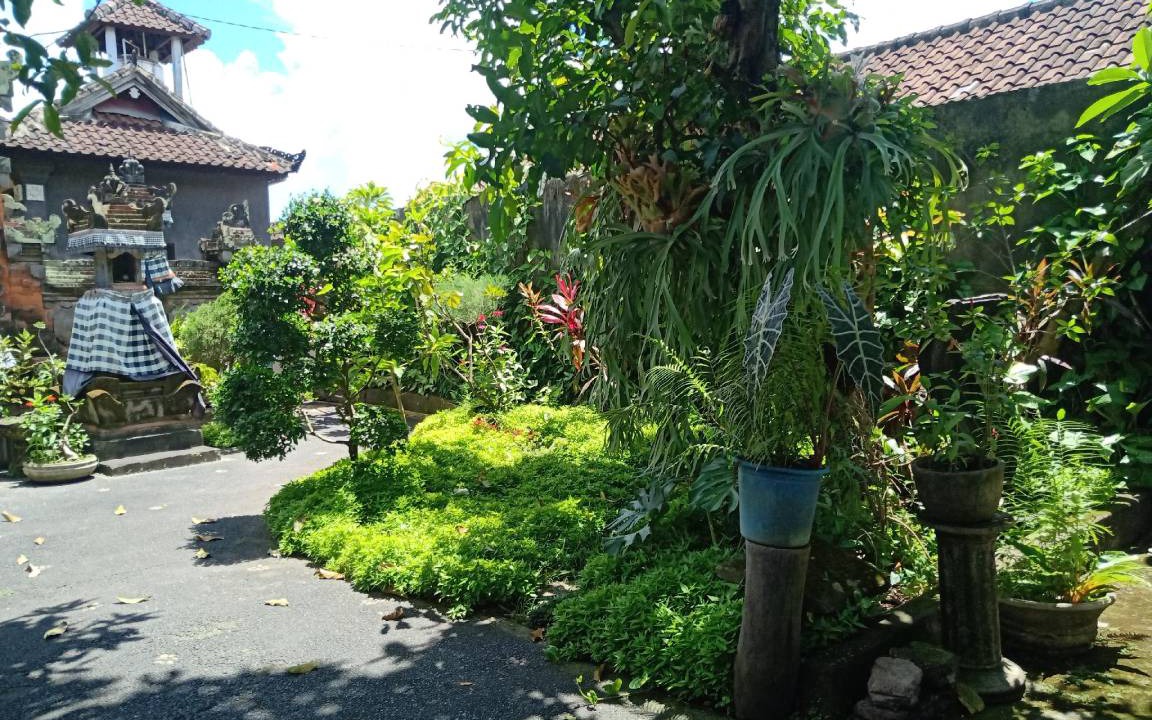 Photo of Others in Batuan