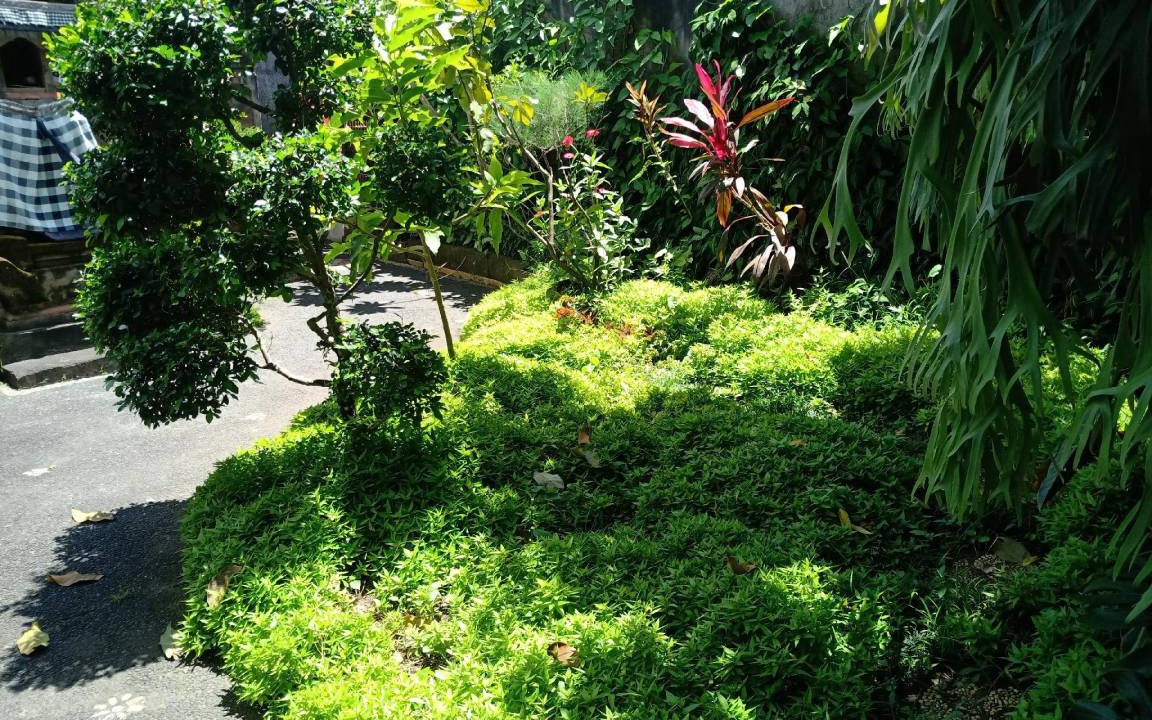 Photo of Outdoor in Batuan