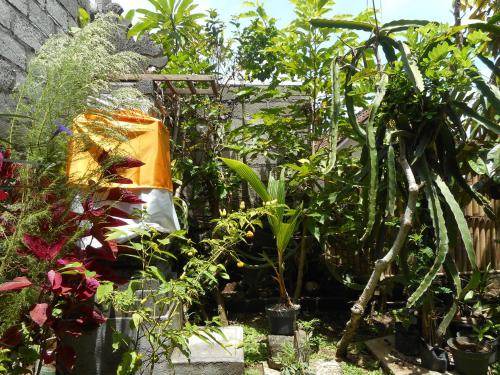 Photo of Others in Sidemen