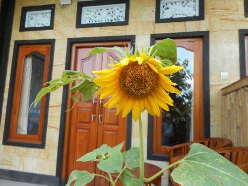 Photo of Others in Sidemen