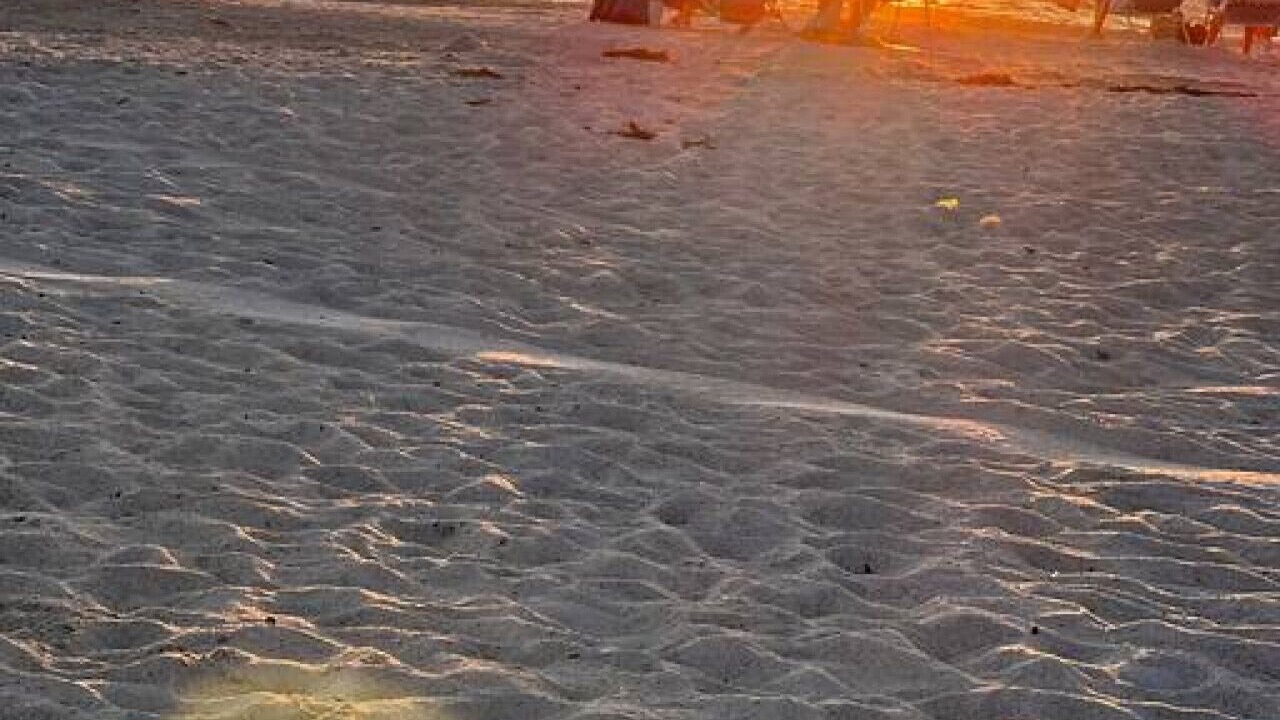Photo of Others in South Bradenton