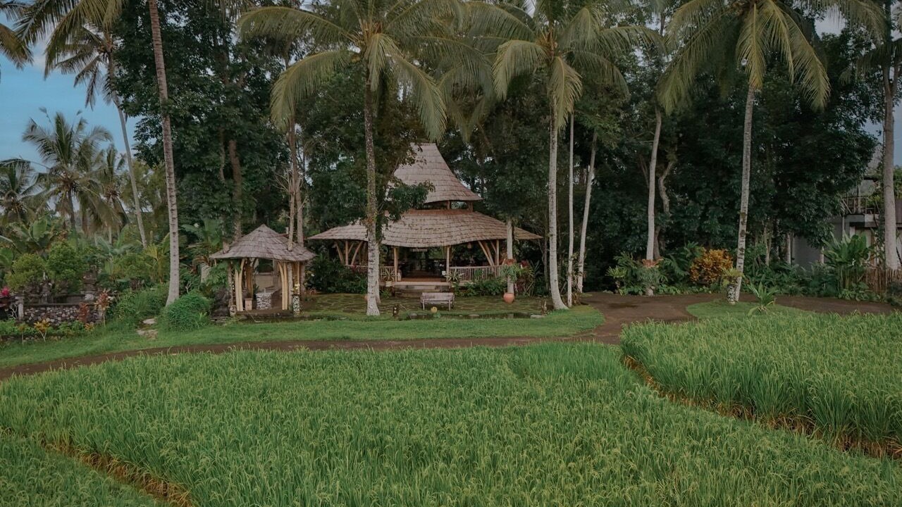 Photo of Outdoor in East Selemadeg